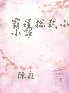 霸道总裁小娇妻小说