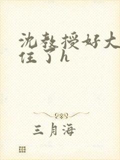 沈教授好大含不住了h