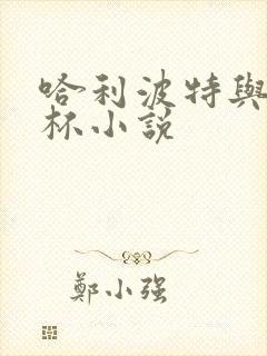 哈利波特与火焰杯小说