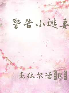 警告小逃妻