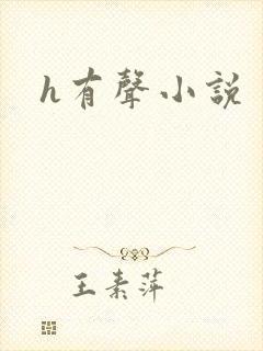 h有声小说