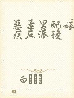 恶毒男配嫁给残疾反派后