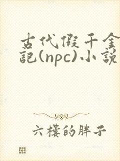 古代假千金挨日记(npc)小说