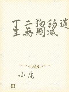 丁二狗的逍遥人生无删减
