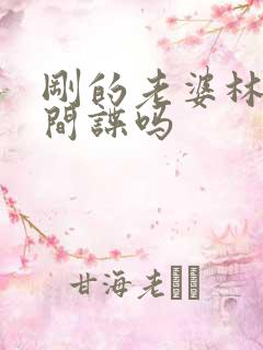 刚的老婆林彦是间谍吗