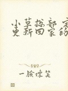 小草总部 定期更新回家的路