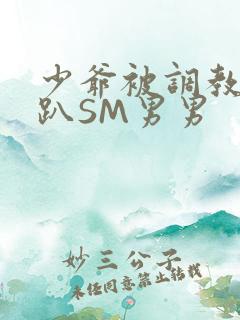 少爷被调教室跪趴SM男男