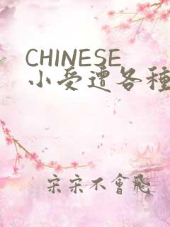 CHINESE小受遭各种打桩