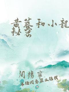 黄蓉和小龙女的秘密