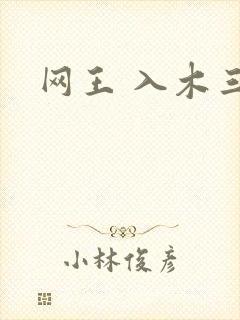 网王 入木三分