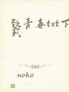 致青春txt下载