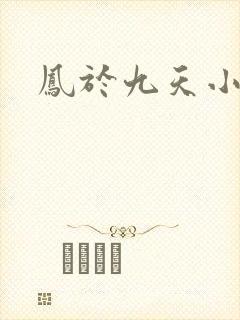 凤于九天小说