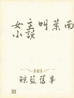 女主叫叶南初的小说