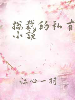 总裁的私有宝贝小说