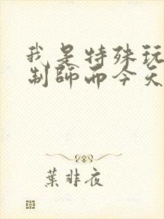 我是特殊玩具定制师而今天的客户