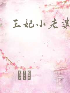 王妃小老婆