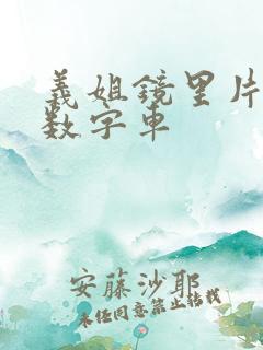 义姐镜里片微博数字车