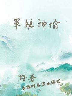 军统神偷