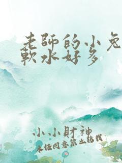 老师的小兔子好软水好多