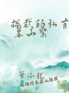 总裁的私有宝贝 暮山紫