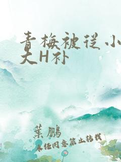 青梅被从小摸到大H补