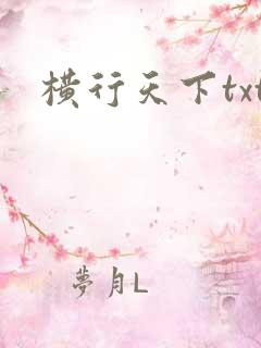 横行天下txt