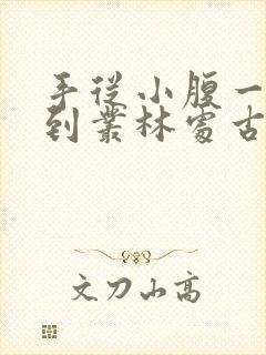 手从小腹一路开到丛林处古代