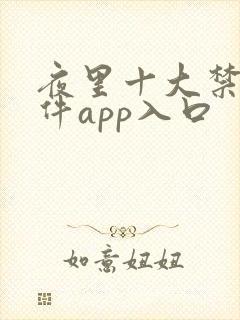 夜里十大禁用软件app入口