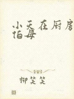 小天在厨房插杨伯母