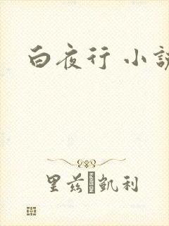 白夜行 小说