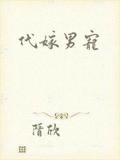 代嫁男宠