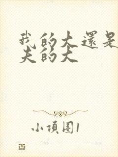 我的大还是你前夫的大