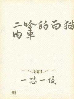 二哈的白猫师尊肉车