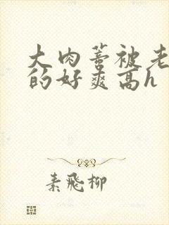 大肉蒂被老头嘬的好爽高h