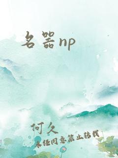 名器np