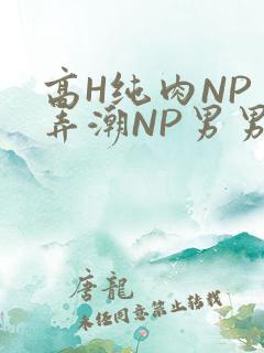 高H纯肉NP 弄潮NP男男