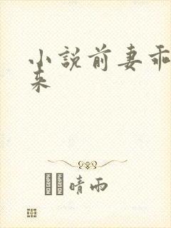 小说前妻乖乖回来