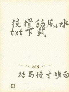 狡猾的风水相师txt下载