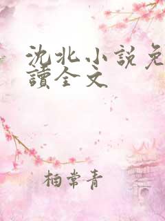 沈北小说免费阅读全文