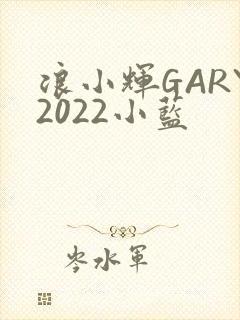 浪小辉GARY2022小蓝