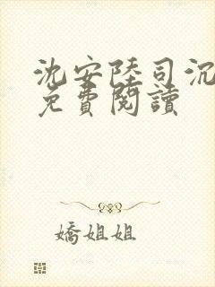 沈安陆司沉小说免费阅读