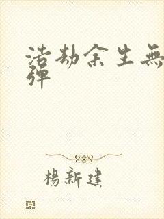 浩劫余生无限子弹