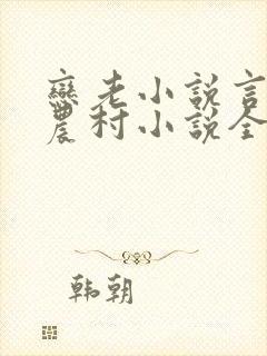 恋老小说言情网农村小说全文阅读