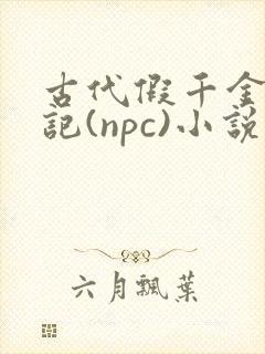 古代假千金挨日记(npc)小说