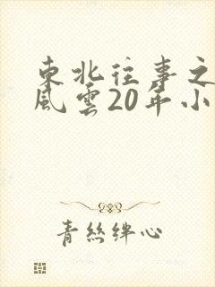 东北往事之黑道风云20年小说