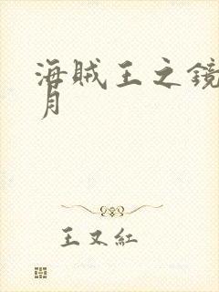 海贼王之镜花水月