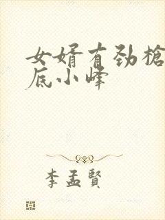 女婿有劲枪枪到底小峰