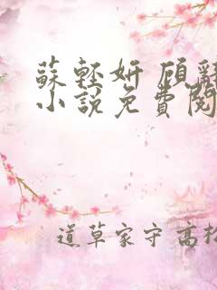 苏轻妍 顾辞笙小说免费阅读