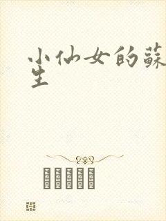 小仙女的苏撩先生