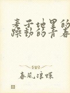 麦子地里的故事躁动的青春小说